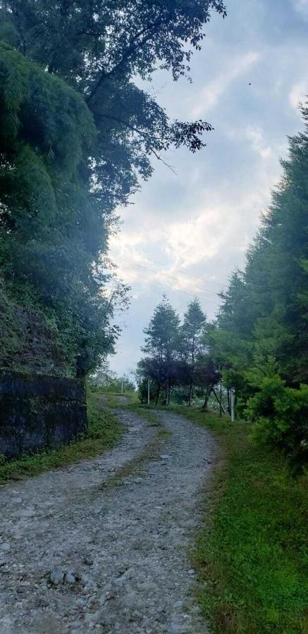 The Nettle And Fern Farmstay بيلينغ المظهر الخارجي الصورة
