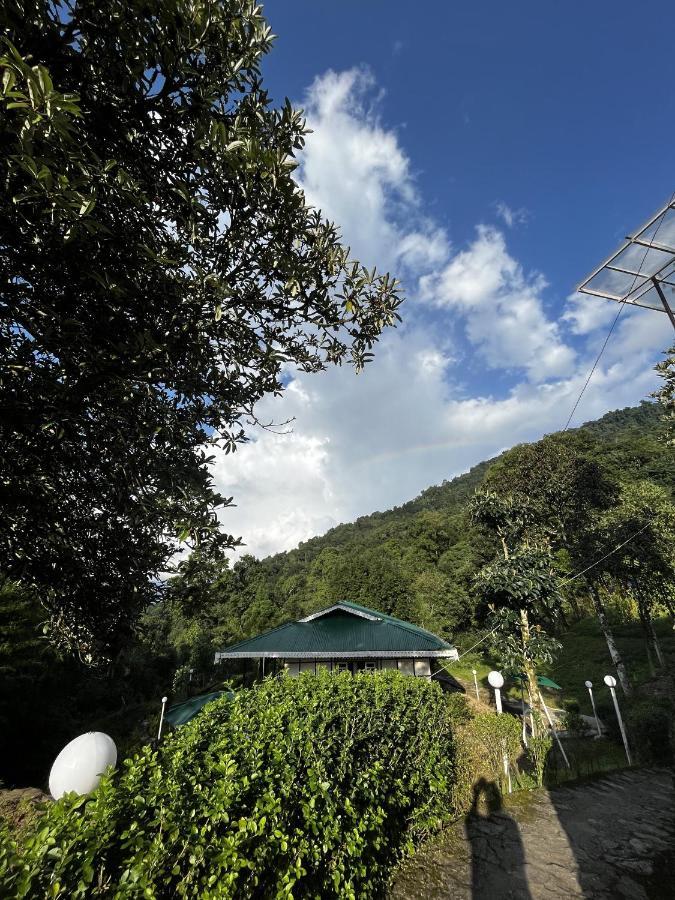 The Nettle And Fern Farmstay بيلينغ المظهر الخارجي الصورة