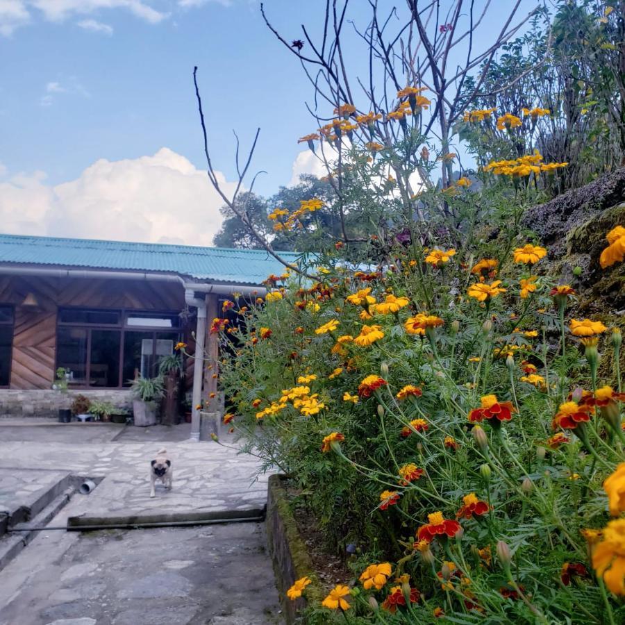 The Nettle And Fern Farmstay بيلينغ المظهر الخارجي الصورة