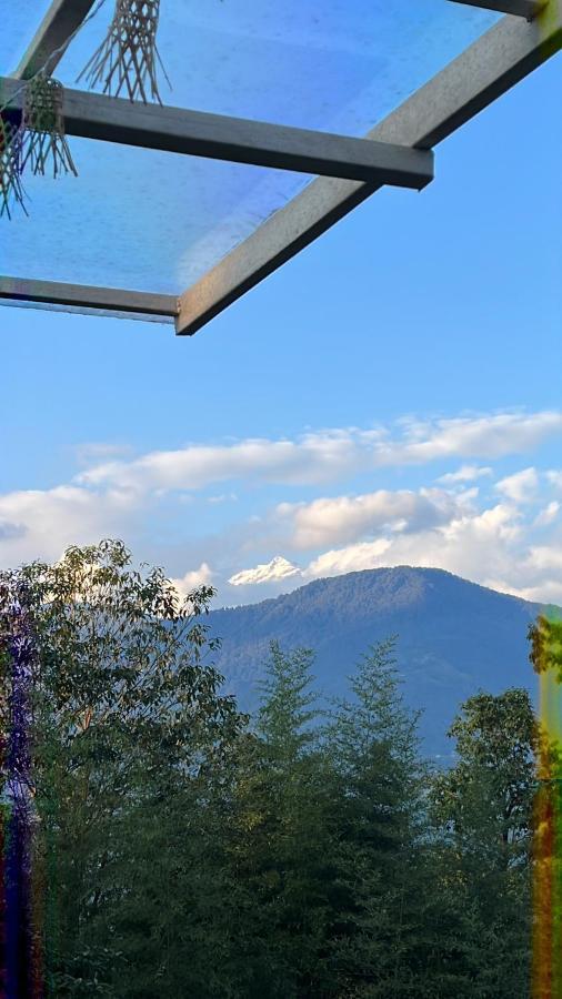 The Nettle And Fern Farmstay بيلينغ المظهر الخارجي الصورة